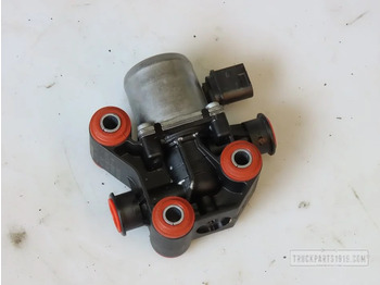 Exhaust system DAF