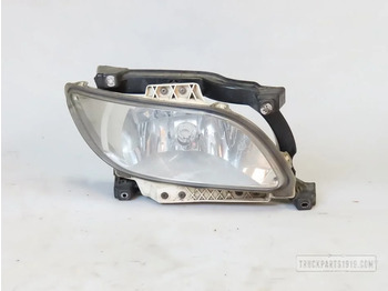 Fog light DAF