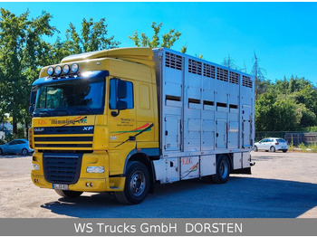 Livestock truck DAF XF