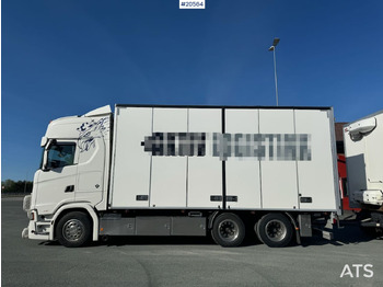 Box truck Scania S650: picture 2