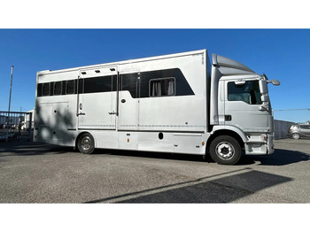 Horse truck MAN TGM 15.250