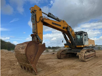 Crawler excavator Liebherr R964C Litronic -: picture 2