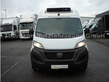 New Refrigerated van Fiat Ducato Kühlkasten L4/H2 Carrier Xarios 300GH: picture 2