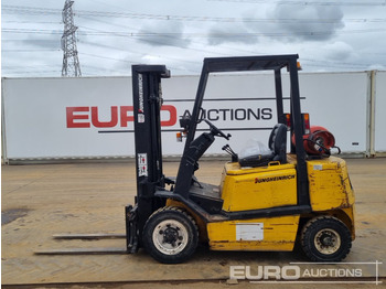 Forklift Jungheinrich GLP25FT: picture 2