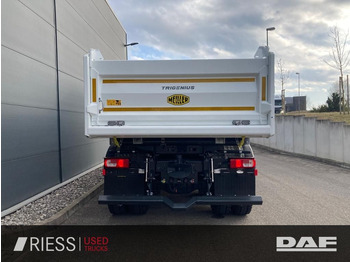 New Tipper DAF XFc 480 FAT 6x4 Intarder Bordmatik Trigenius DAF XFc 480 FAT 6x4 Intarder Bordmatik Trigenius: picture 5 New Tipper DAF XFc 480 FAT 6x4 Intarder Bordmatik Trigenius DAF XFc 480 FAT 6x4 Intarder Bordmatik Trigenius: picture 5