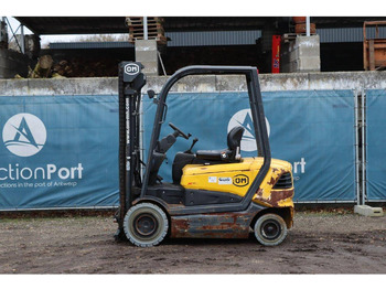Electric forklift OM Carrelli XE 25: picture 2