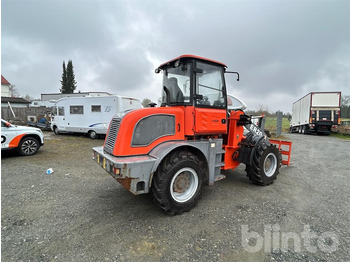 Wheel loader Everun ER 20: picture 3