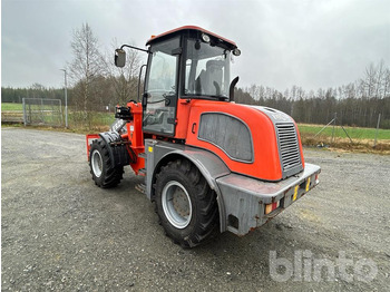 Wheel loader Everun ER 20: picture 4