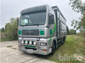 Livestock truck MAN TGA