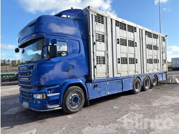 Livestock truck SCANIA R 580