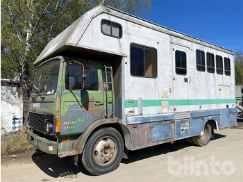Horse truck VOLVO