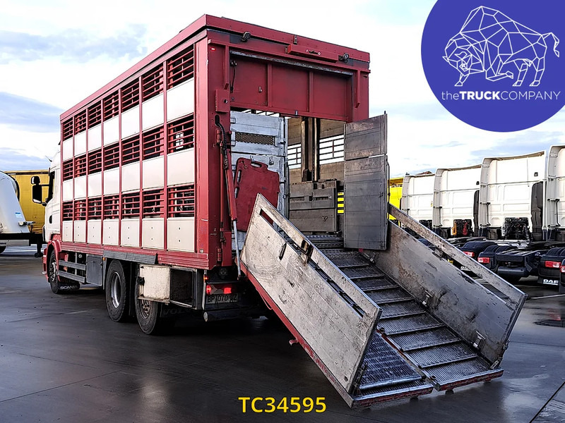 Scania R 500 - Livestock truck: picture 3 Scania R 500 - Livestock truck: picture 3