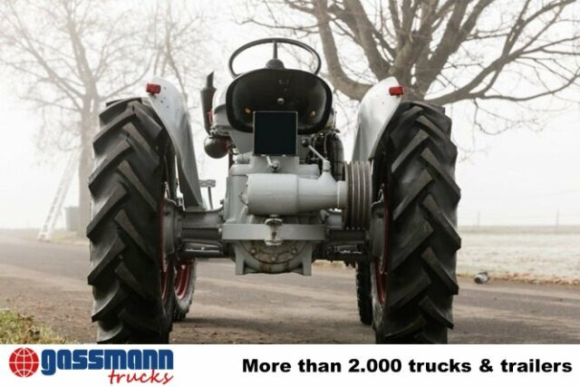 Farm tractor Traktor DL25: picture 13