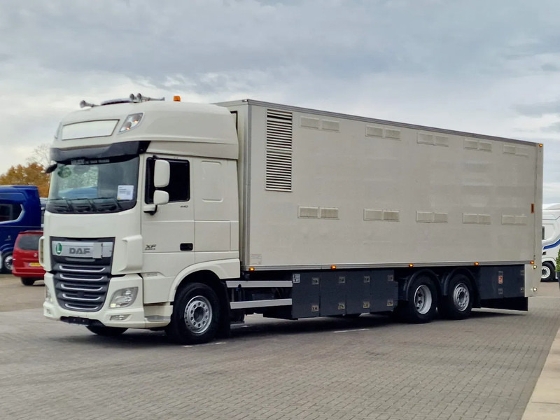 DAF XF 440 SuperSpaceCab 6x2*4 - 2 deck Closed Livestock - 40M2 - Filtersystem - Livestock truck: picture 3 DAF XF 440 SuperSpaceCab 6x2*4 - 2 deck Closed Livestock - 40M2 - Filtersystem - Livestock truck: picture 3