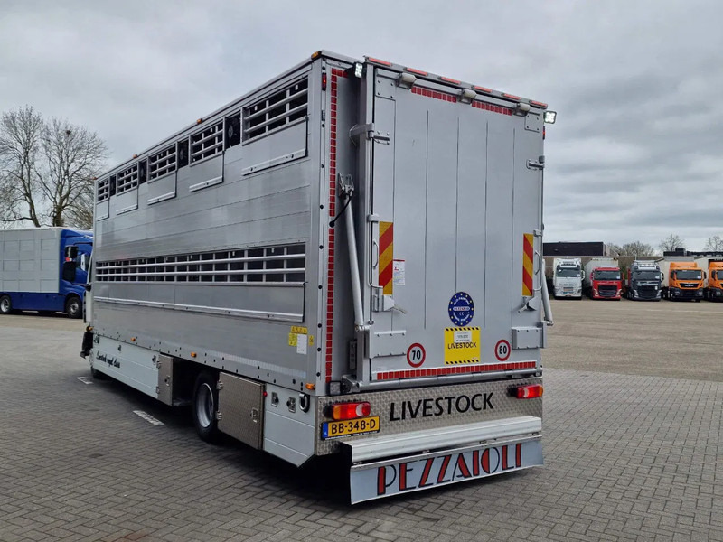 New Livestock truck Pezzaioli 1 deck - Ventilation - 17.9M2 - Ramp - NEW box: picture 6
