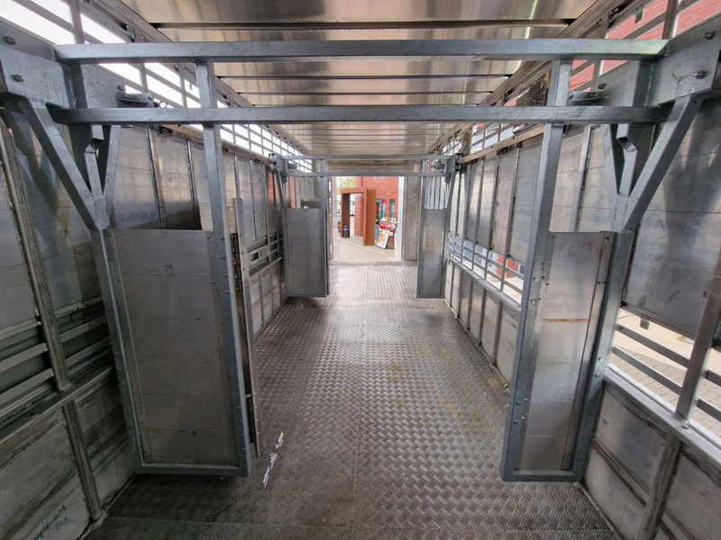 New Livestock truck Pezzaioli 1 deck - Ventilation - 17.9M2 - Ramp - NEW box: picture 14