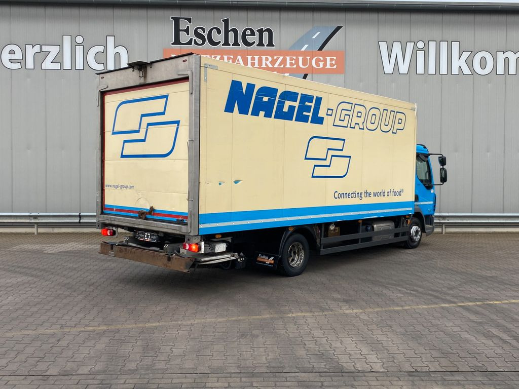 DAF LF 230 Thermo-King T800R*Diesel/Netz*2Verdampfer - Refrigerator truck: picture 5 DAF LF 230 Thermo-King T800R*Diesel/Netz*2Verdampfer - Refrigerator truck: picture 5