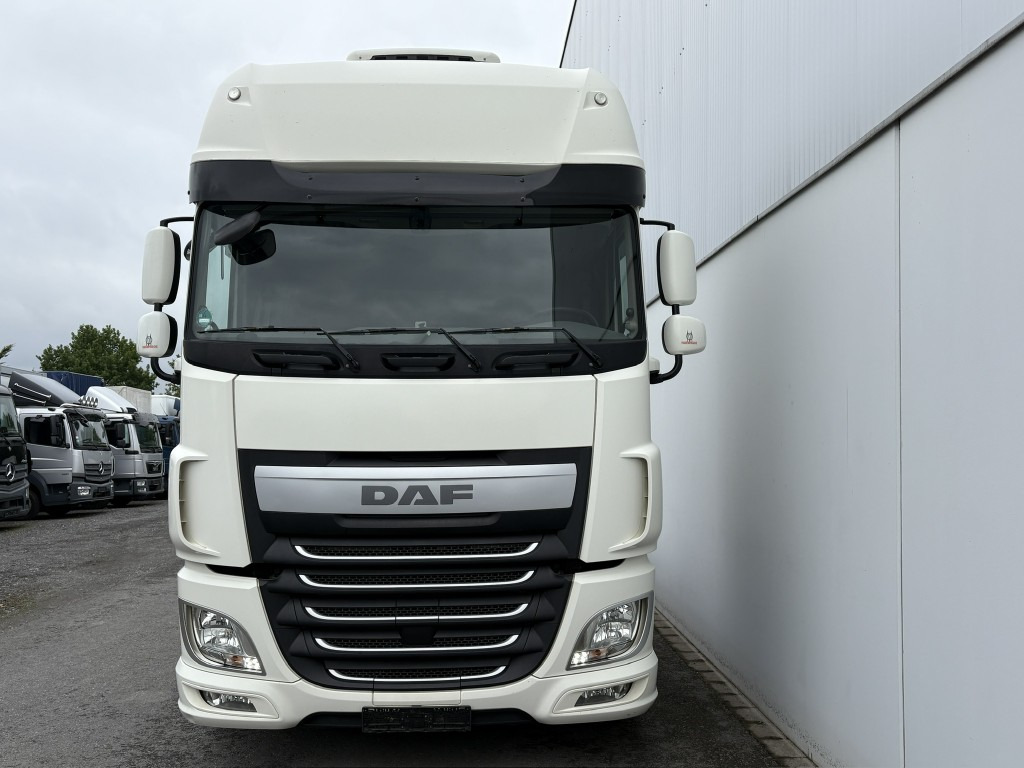 DAF XF 460 FAN 6x2 Lenkachse, Standklima Intarder, SDG - höhenverstellbar - Container transporter/ Swap body truck: picture 5 DAF XF 460 FAN 6x2 Lenkachse, Standklima Intarder, SDG - höhenverstellbar - Container transporter/ Swap body truck: picture 5