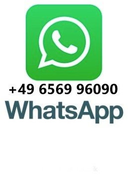 MAN TGS 35.360 8x2 Fahrgestell - Cab chassis truck: picture 2 MAN TGS 35.360 8x2 Fahrgestell - Cab chassis truck: picture 2