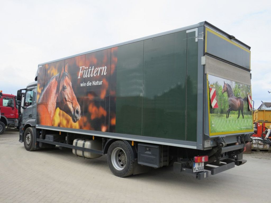 Mercedes-Benz Antos 1830 L nR 4x2 Standardkoffer LBW LBW 2to+F - Box truck: picture 3 Mercedes-Benz Antos 1830 L nR 4x2 Standardkoffer LBW LBW 2to+F - Box truck: picture 3