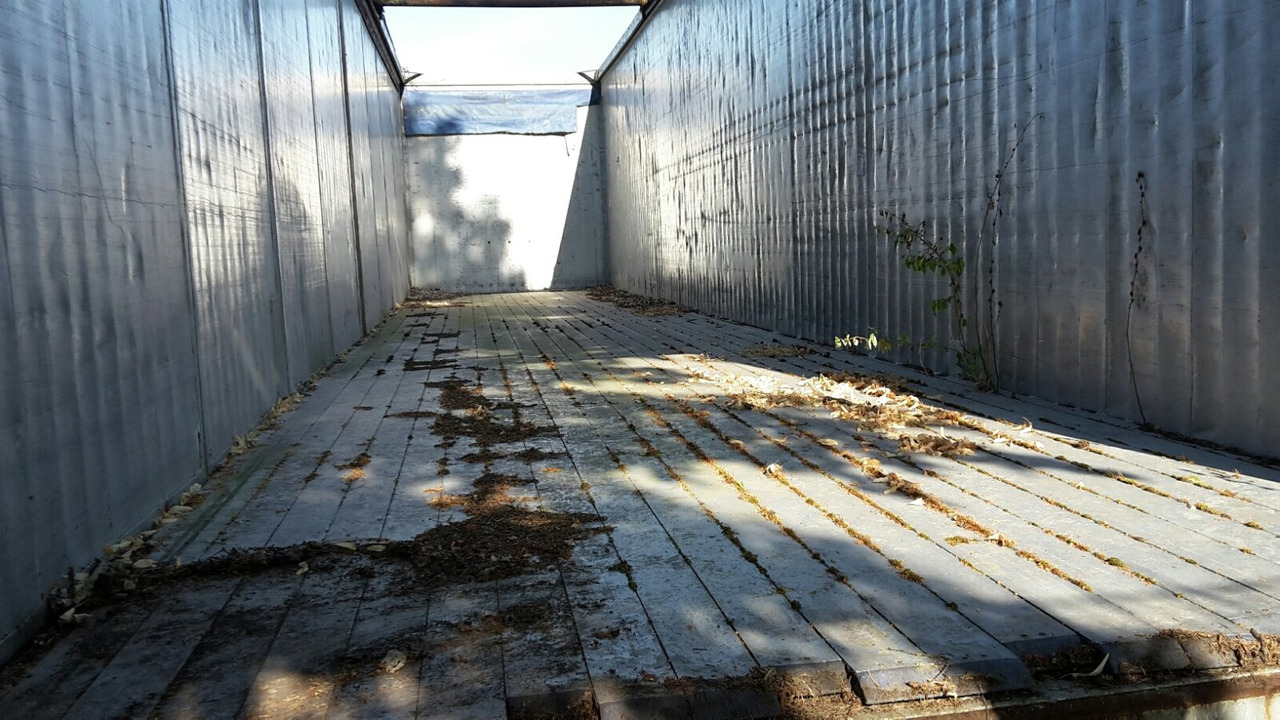 Reisch RSBS-35/24 PV RSBS-35/24 PV Walkingfloor ca. 86m³, Alu - Walking floor semi-trailer: picture 2 Reisch RSBS-35/24 PV RSBS-35/24 PV Walkingfloor ca. 86m³, Alu - Walking floor semi-trailer: picture 2