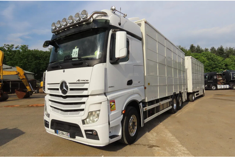 Mercedes-Benz Actros 2551 BERDEX 3 decks, All options + Berdex 12/ 2007 - Livestock truck: picture 3 Mercedes-Benz Actros 2551 BERDEX 3 decks, All options + Berdex 12/ 2007 - Livestock truck: picture 3