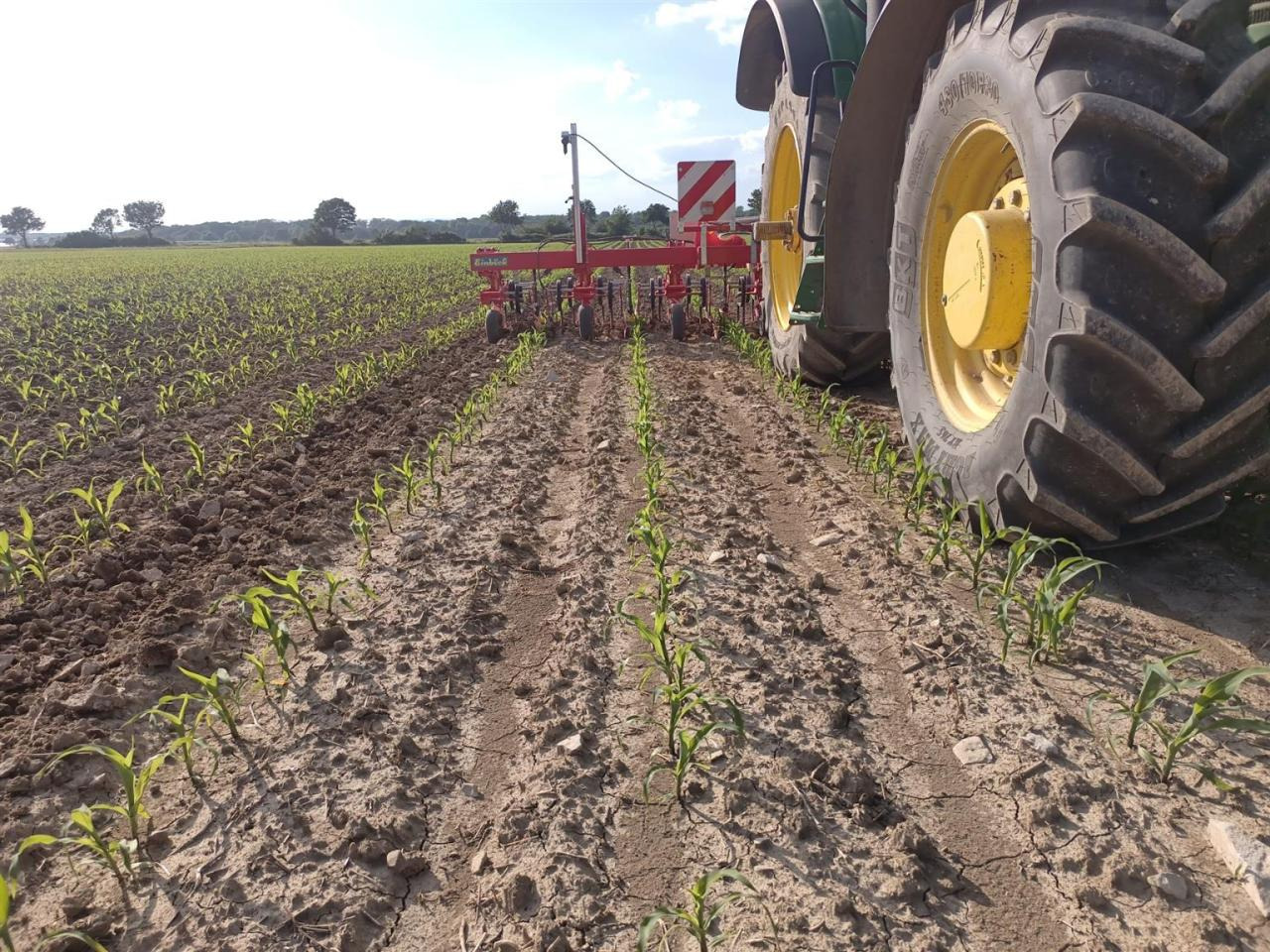 Firestone 460/85R42 480/70R30 - Tire: picture 5 Firestone 460/85R42 480/70R30 - Tire: picture 5