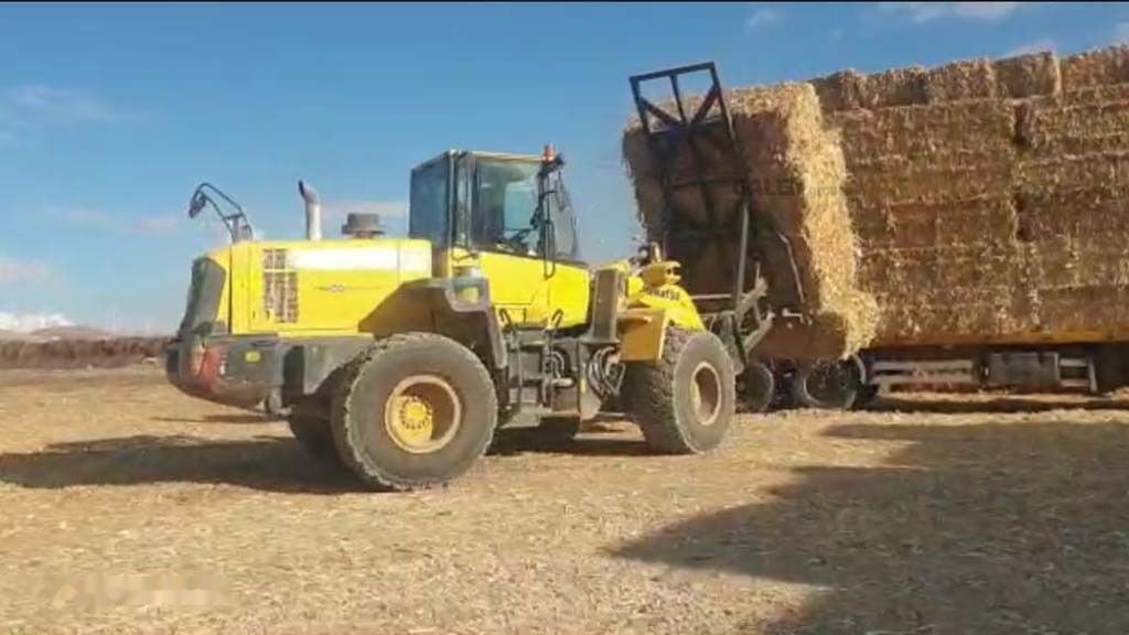 Galen Loader Bale Spear Attachment - Forks for Agricultural machinery: picture 4 Galen Loader Bale Spear Attachment - Forks for Agricultural machinery: picture 4