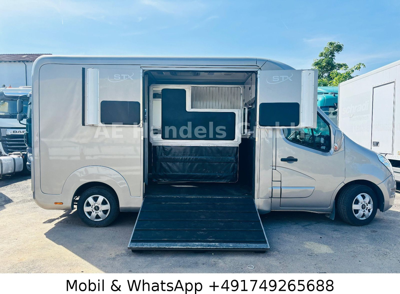 Renault Master STX Horsebox *Haras/2-Horses/3-Sitze - Horse trailer: picture 3 Renault Master STX Horsebox *Haras/2-Horses/3-Sitze - Horse trailer: picture 3