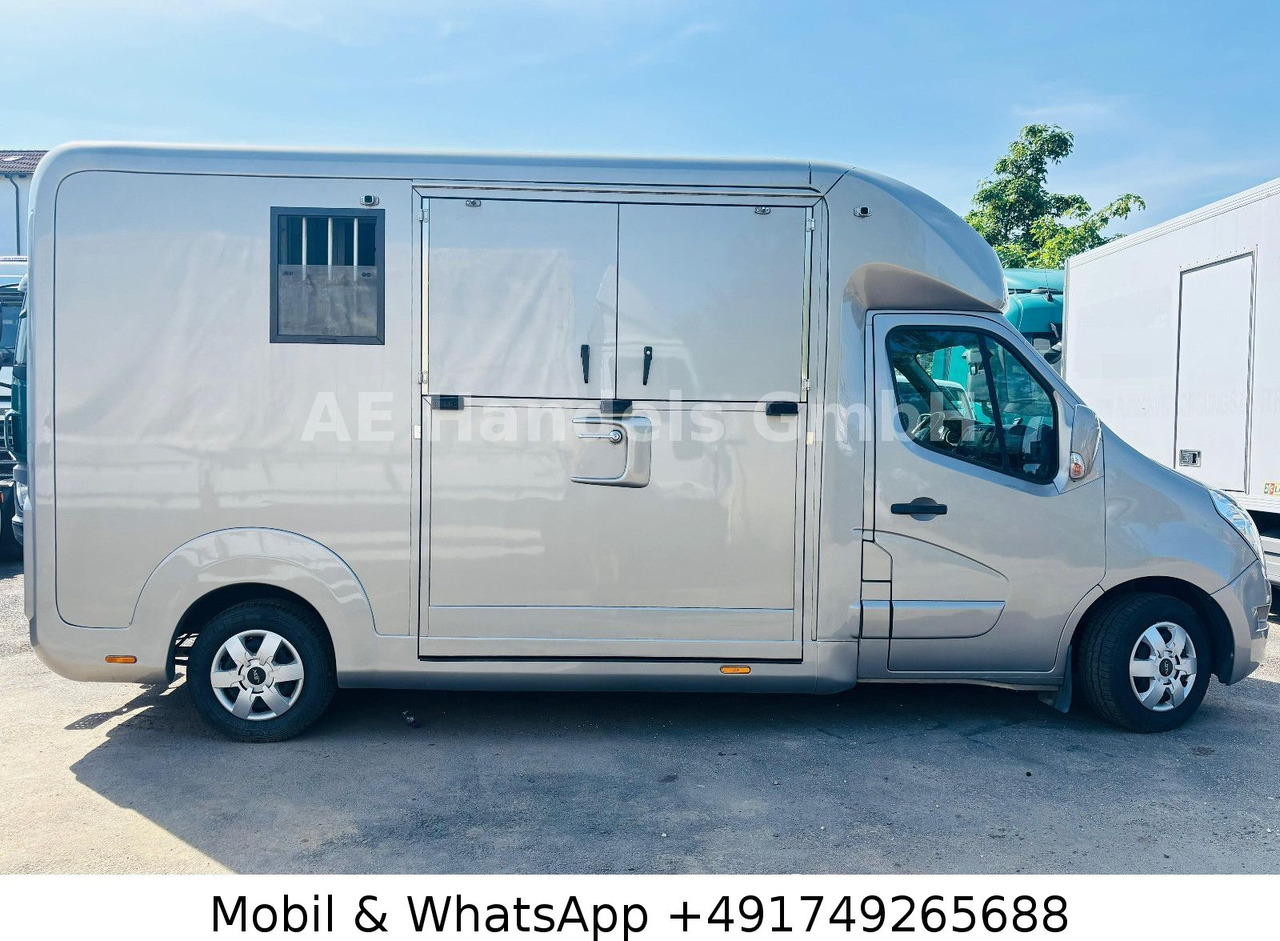 Renault Master STX Horsebox *Haras/2-Horses/3-Sitze - Horse trailer: picture 4 Renault Master STX Horsebox *Haras/2-Horses/3-Sitze - Horse trailer: picture 4