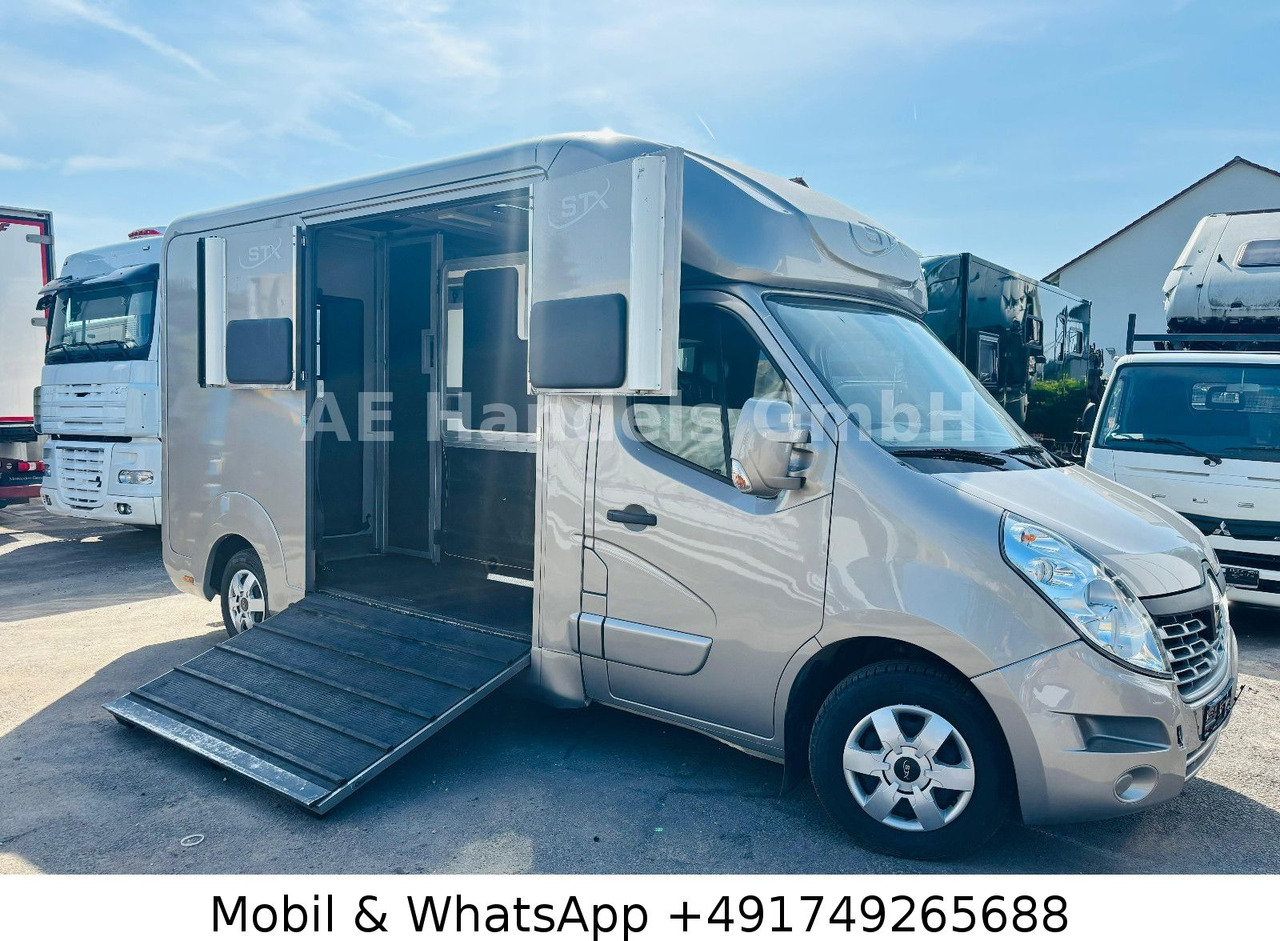 Renault Master STX Horsebox *Haras/2-Horses/3-Sitze - Horse trailer: picture 1 Renault Master STX Horsebox *Haras/2-Horses/3-Sitze - Horse trailer: picture 1