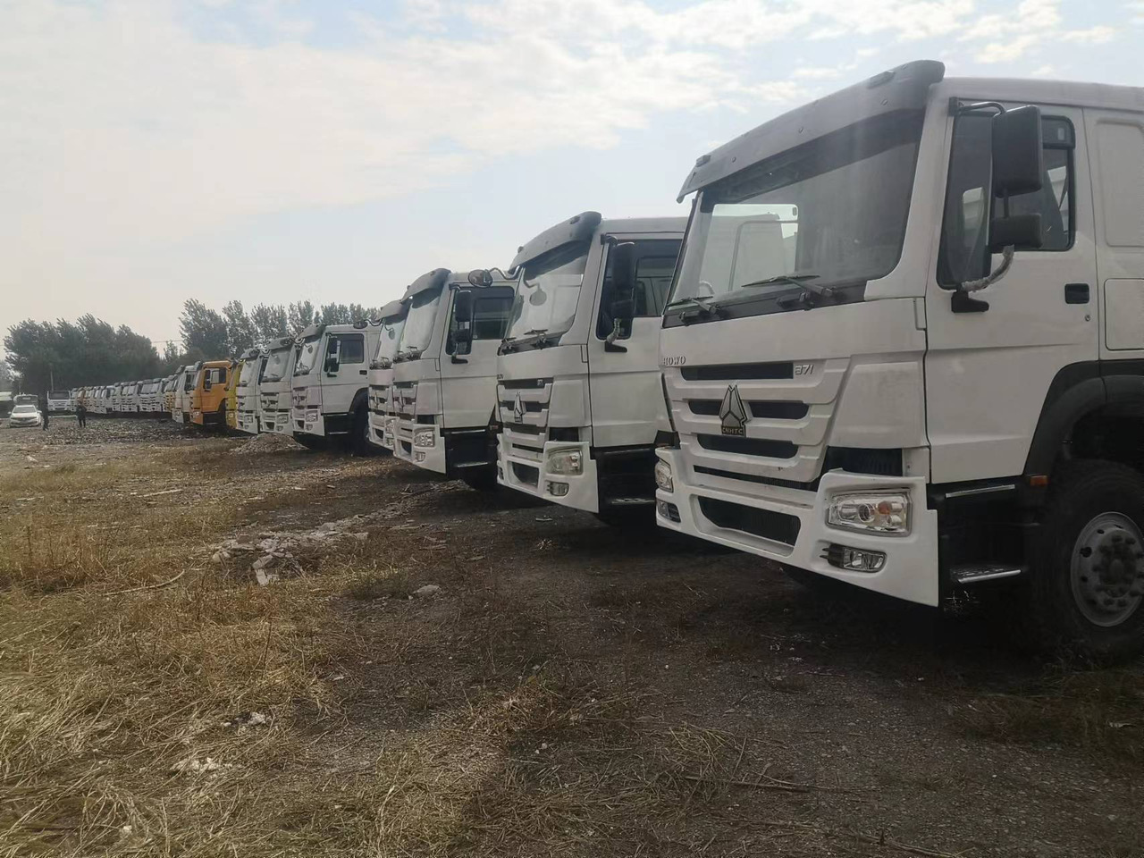 SINOTRUK HOWO WITH FENCE LIVESTOCK DUMP TRUCK - Tipper: picture 1 SINOTRUK HOWO WITH FENCE LIVESTOCK DUMP TRUCK - Tipper: picture 1