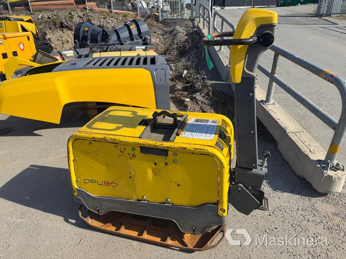Markvibrator Wacker Neuson DPU80 - Vibratory plate: picture 1 Markvibrator Wacker Neuson DPU80 - Vibratory plate: picture 1
