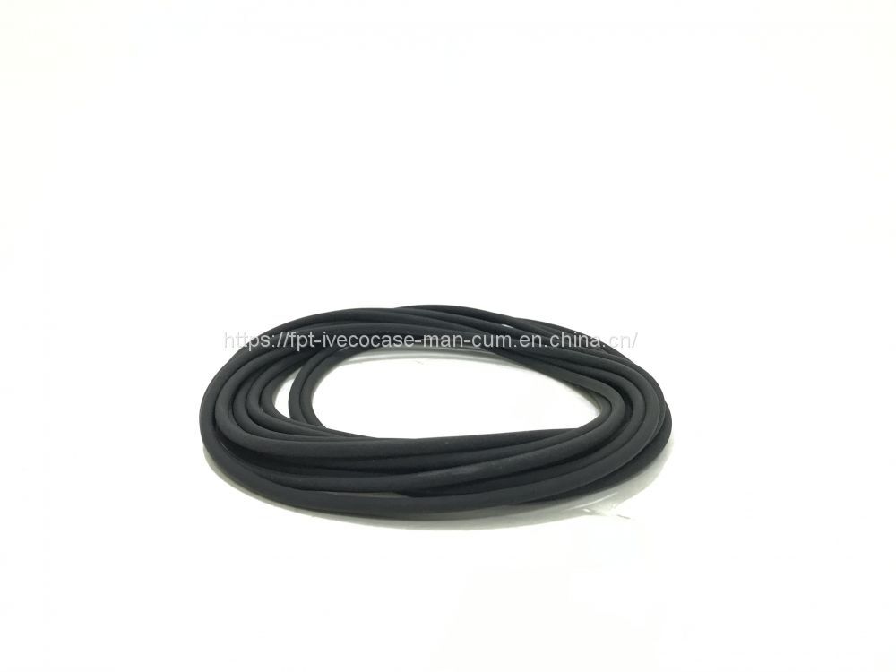 FPT IVECO CASE Cursor11 F3GFE613A B001 5801863562/5801690111 Liner seal ring 504372471 - Piston/ Ring/ Bushing: picture 2 FPT IVECO CASE Cursor11 F3GFE613A B001 5801863562/5801690111 Liner seal ring 504372471 - Piston/ Ring/ Bushing: picture 2