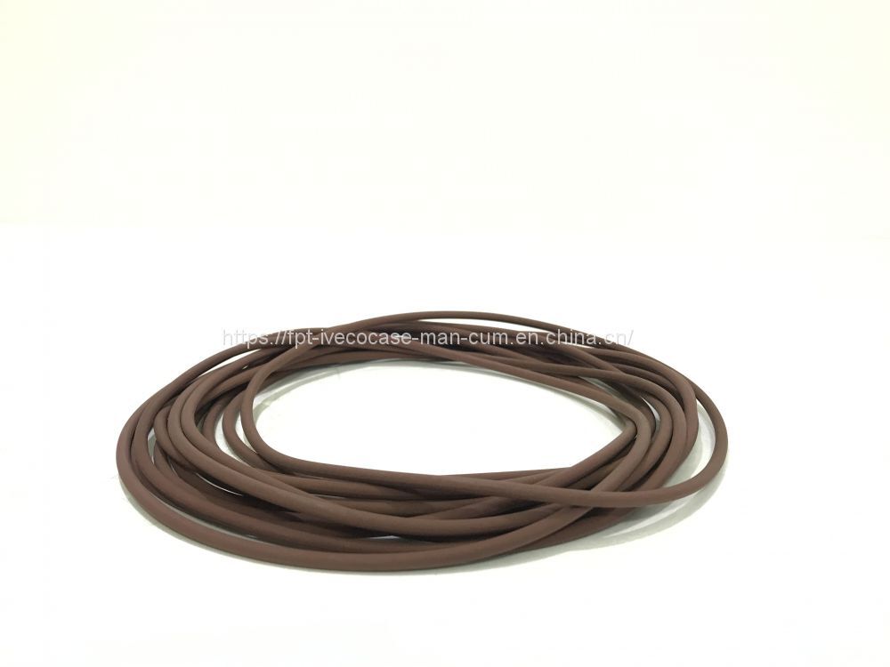 FPT IVECO CASE Cursor11 F3GFE613A B001 5801863562/5801690111 Liner seal ring 504372472 - Piston/ Ring/ Bushing: picture 2 FPT IVECO CASE Cursor11 F3GFE613A B001 5801863562/5801690111 Liner seal ring 504372472 - Piston/ Ring/ Bushing: picture 2