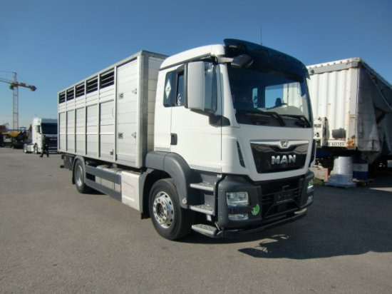 MAN TGS 18.420 Tiertransporter,Euro 6, Manual Seilwinde, el. Ladebordwand Voll Luft - Horse truck: picture 3 MAN TGS 18.420 Tiertransporter,Euro 6, Manual Seilwinde, el. Ladebordwand Voll Luft - Horse truck: picture 3