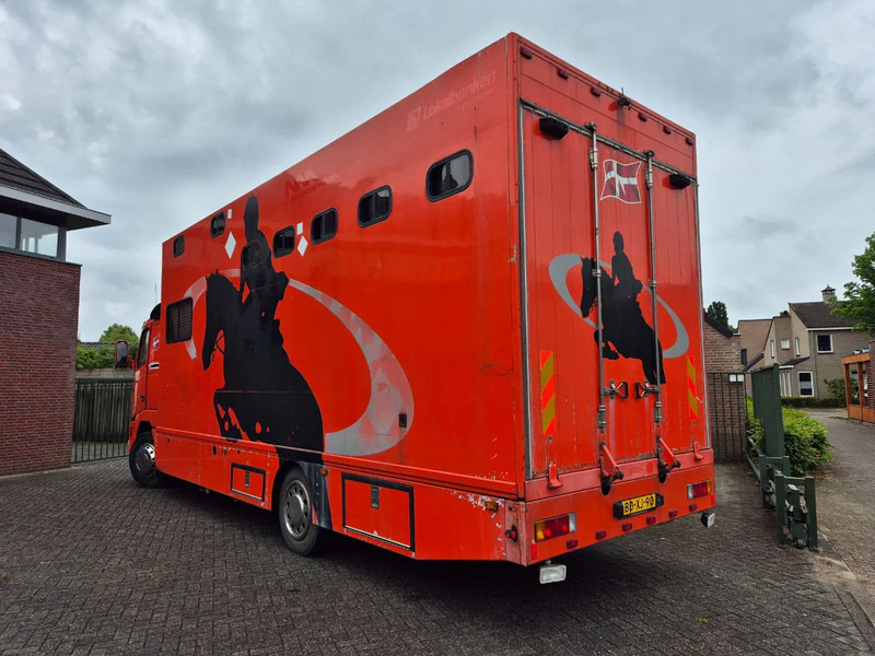 Volvo FH 12 380pk luchtgeveerd voor en achteras - Horse truck: picture 2 Volvo FH 12 380pk luchtgeveerd voor en achteras - Horse truck: picture 2