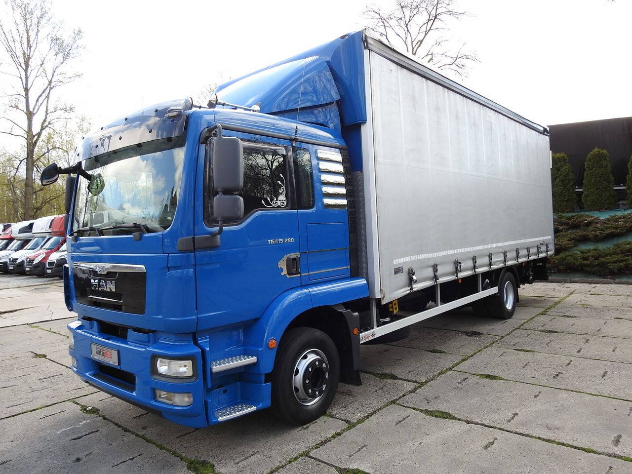 Leasing of MAN TGM 15.290 TARPAULIN LIFT 18 PALLETS CRUISE CONTROL TWIN WHEELS AIR CONDITIONING  290HP MAN TGM 15.290 TARPAULIN LIFT 18 PALLETS CRUISE CONTROL TWIN WHEELS AIR CONDITIONING  290HP: picture 6
