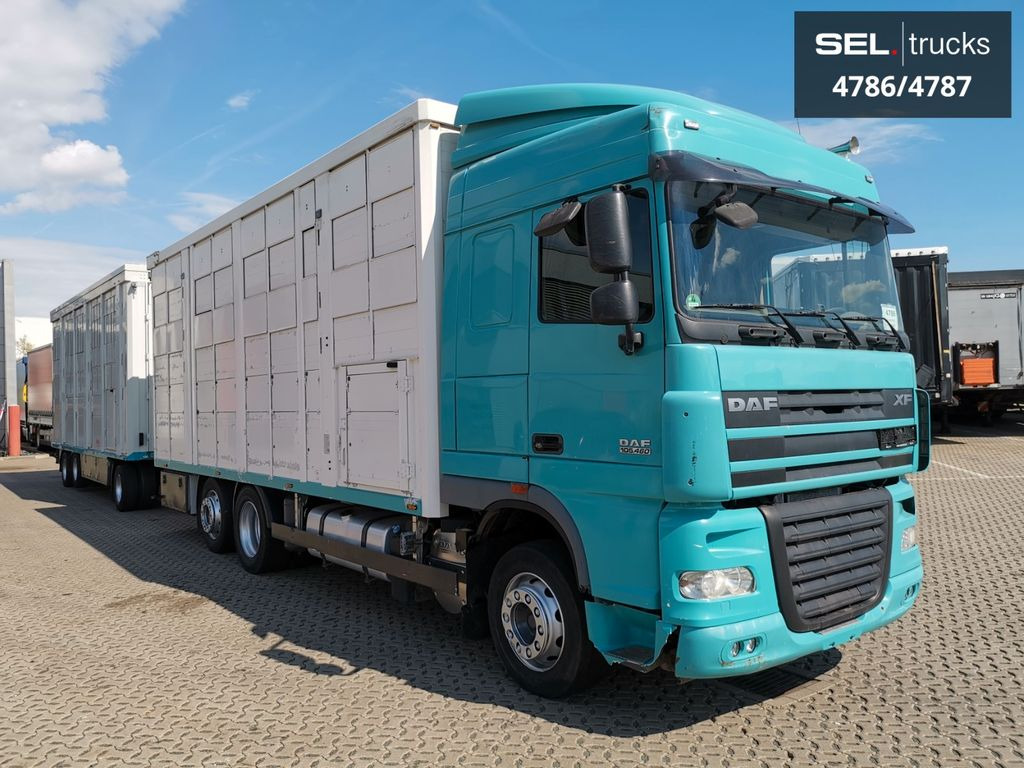 DAF XF 105.460 / Intarder / 4 Stock / KOMPLETT ! DAF XF 105.460 / Intarder / 4 Stock / KOMPLETT ! - Livestock truck: picture 4 DAF XF 105.460 / Intarder / 4 Stock / KOMPLETT ! DAF XF 105.460 / Intarder / 4 Stock / KOMPLETT ! - Livestock truck: picture 4
