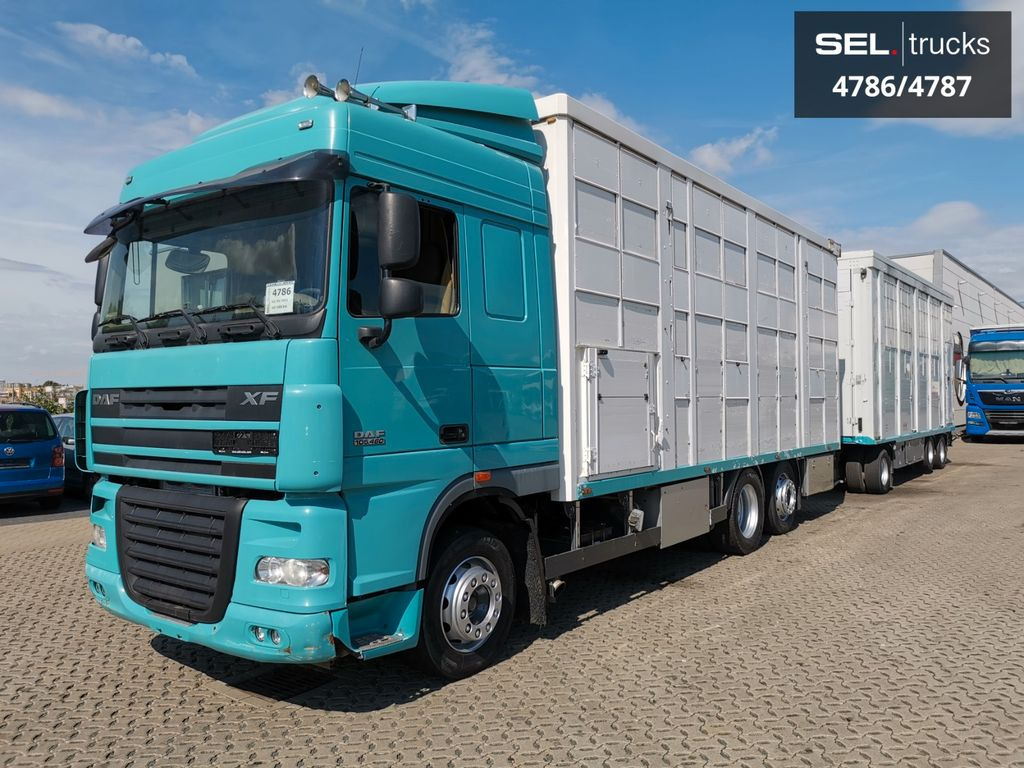DAF XF 105.460 / Intarder / 4 Stock / KOMPLETT ! - Livestock truck: picture 2 DAF XF 105.460 / Intarder / 4 Stock / KOMPLETT ! - Livestock truck: picture 2