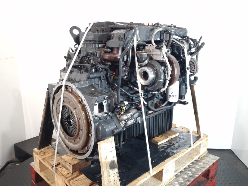 DAF PX-7 164 H1 Engine (Truck) - Engine for Truck: picture 1 DAF PX-7 164 H1 Engine (Truck) - Engine for Truck: picture 1
