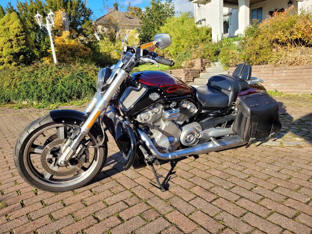 Motorcykel Harley-Davidson VRSCF V-Rod Muscle 1247 - Motorcycle: picture 1 Motorcykel Harley-Davidson VRSCF V-Rod Muscle 1247 - Motorcycle: picture 1