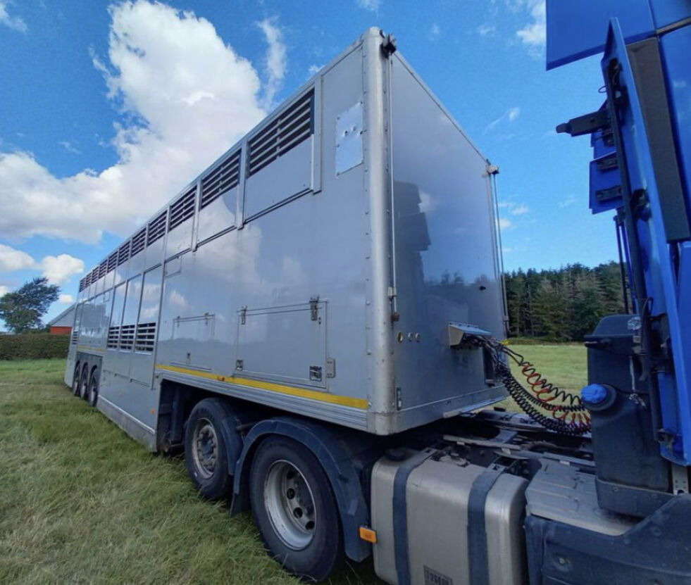 Gray and Adams Gray and Adams Gadd3 / Works Great / Hydraulic / 2 Levels - Livestock semi-trailer: picture 4 Gray and Adams Gray and Adams Gadd3 / Works Great / Hydraulic / 2 Levels - Livestock semi-trailer: picture 4