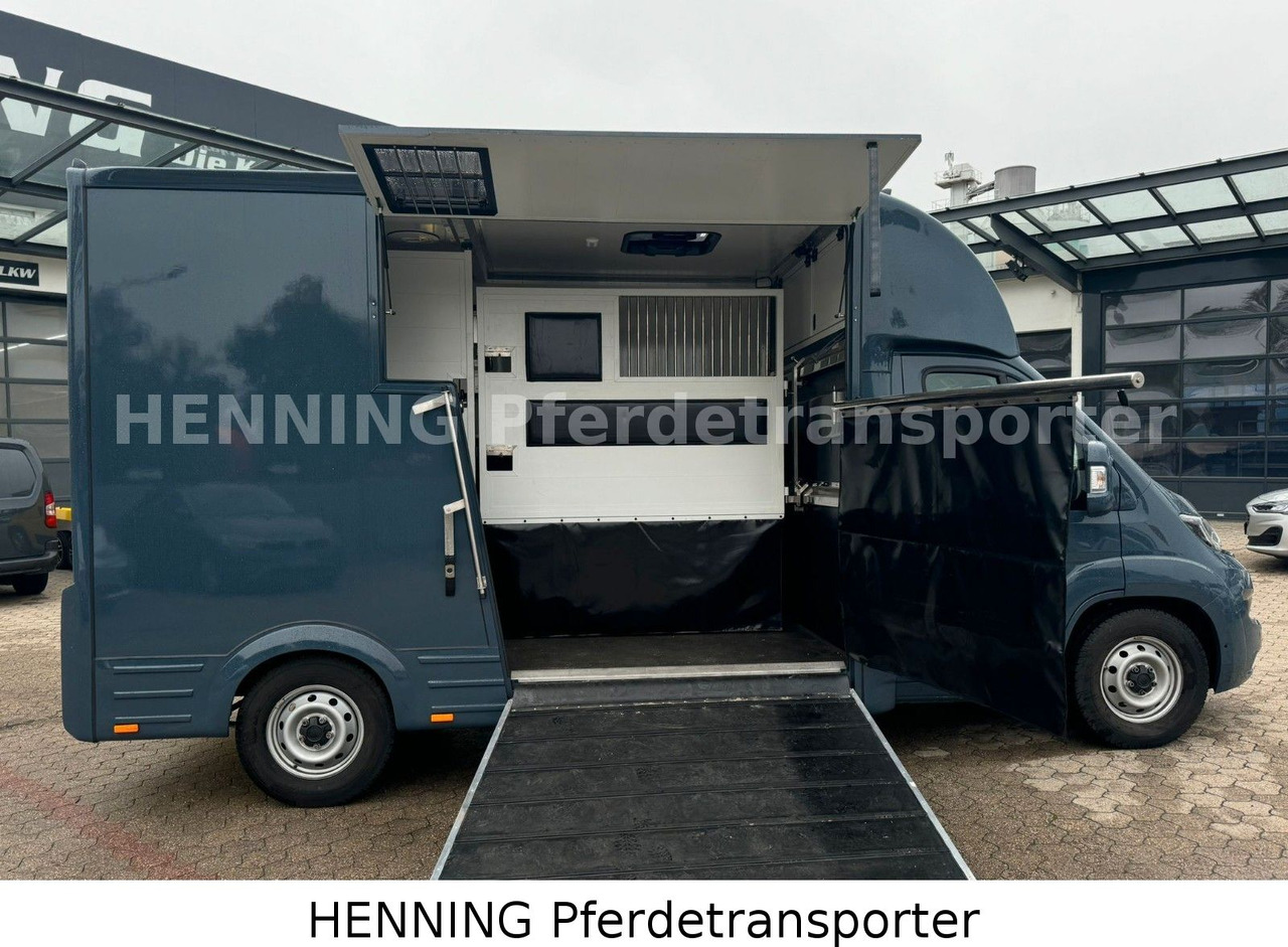 Fiat Ducato *AUTOMATIK* 3 - Sitzer - Livestock truck: picture 4 Fiat Ducato *AUTOMATIK* 3 - Sitzer - Livestock truck: picture 4