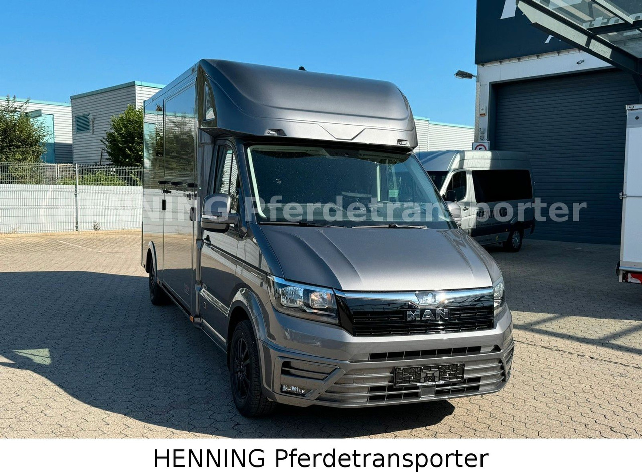 MAN TGE 3 - Sitzer *KLIMA PFERDEABTEIL* - Livestock truck: picture 2 MAN TGE 3 - Sitzer *KLIMA PFERDEABTEIL* - Livestock truck: picture 2