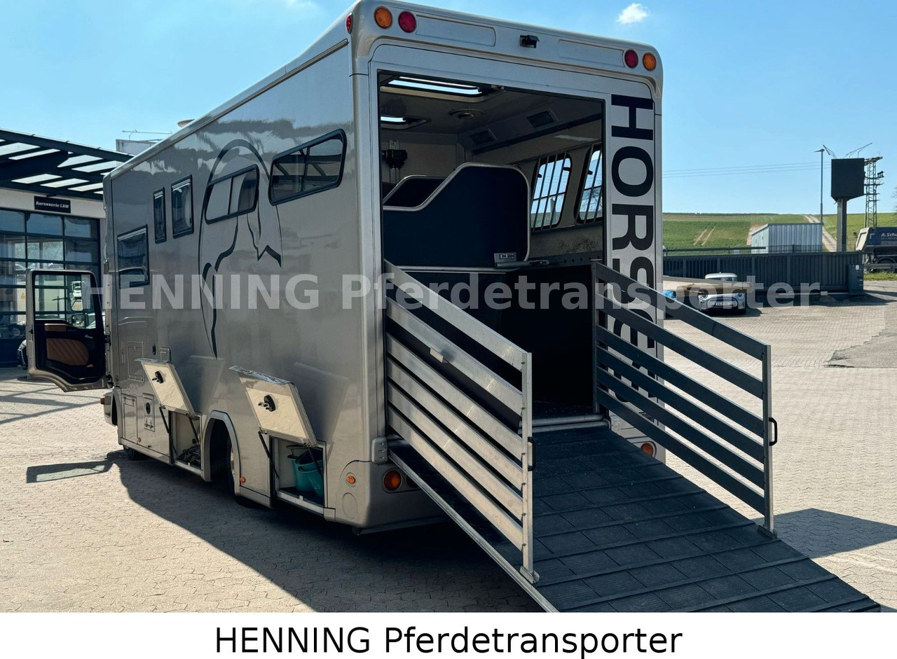 MAN TGL PFERDETRANSPORTER RJH - Livestock truck: picture 5 MAN TGL PFERDETRANSPORTER RJH - Livestock truck: picture 5