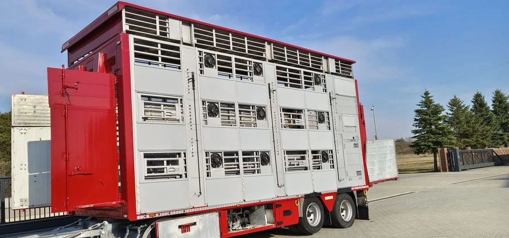 Pezzaioli RBA 32/TRZYOSIOWA PRZYCZEPA-2XBYDŁO,3X TRZODA - Livestock trailer: picture 3 Pezzaioli RBA 32/TRZYOSIOWA PRZYCZEPA-2XBYDŁO,3X TRZODA - Livestock trailer: picture 3