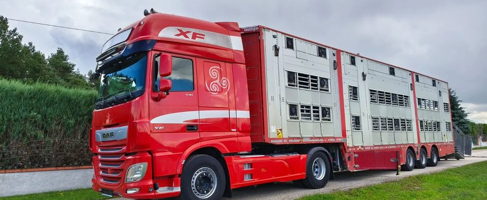 Pezzaioli SBA32/hydrauliczny dach/hydrauliczna rampa/ 3 poziomy/ 2xbydło -3xtrzoda/wentylatory/poidła/sterowanie pilotem - Livestock semi-trailer: picture 4 Pezzaioli SBA32/hydrauliczny dach/hydrauliczna rampa/ 3 poziomy/ 2xbydło -3xtrzoda/wentylatory/poidła/sterowanie pilotem - Livestock semi-trailer: picture 4