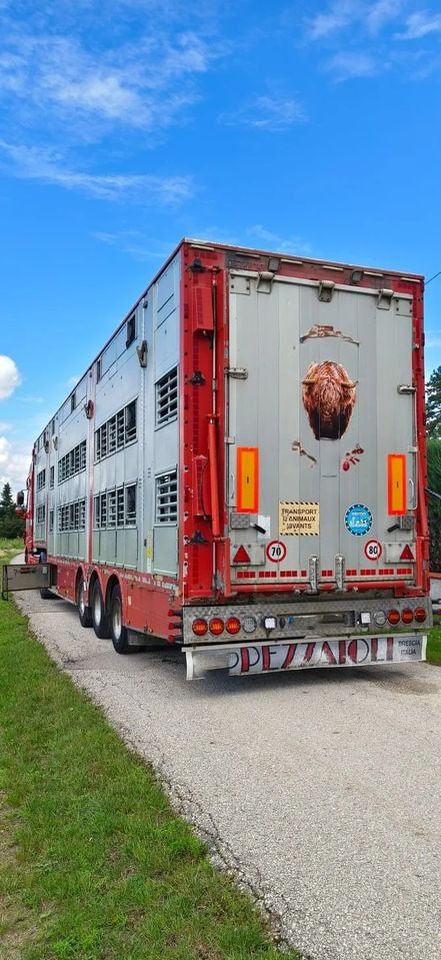 Pezzaioli SBA32/hydrauliczny dach/hydrauliczna rampa/ 3 poziomy/ 2xbydło -3xtrzoda/wentylatory/poidła/sterowanie pilotem - Livestock semi-trailer: picture 5 Pezzaioli SBA32/hydrauliczny dach/hydrauliczna rampa/ 3 poziomy/ 2xbydło -3xtrzoda/wentylatory/poidła/sterowanie pilotem - Livestock semi-trailer: picture 5