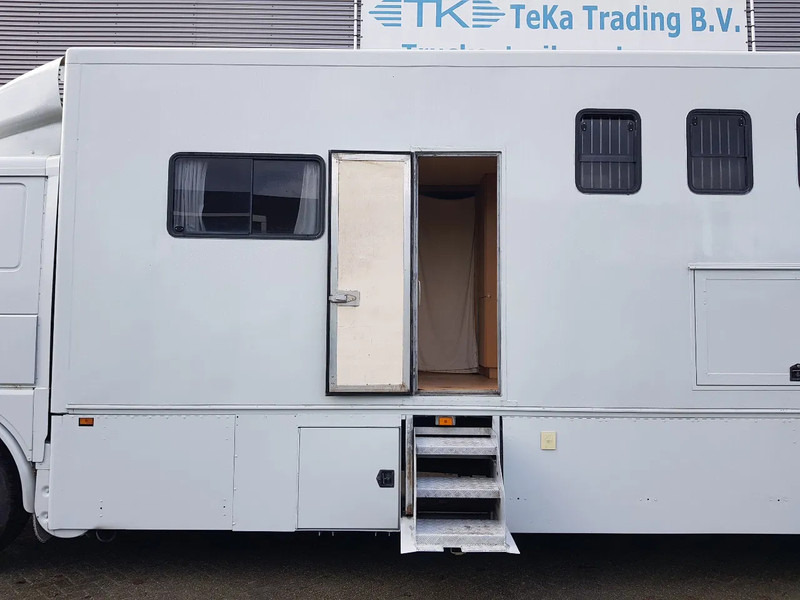 Horse truck DAF 95.350 Paardenwagen met zitverblijf 7 paarden 7 horses: picture 17